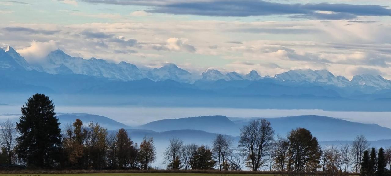 Bio- Und Wellnesshotel Alpenblick Höchenschwand Kültér fotó