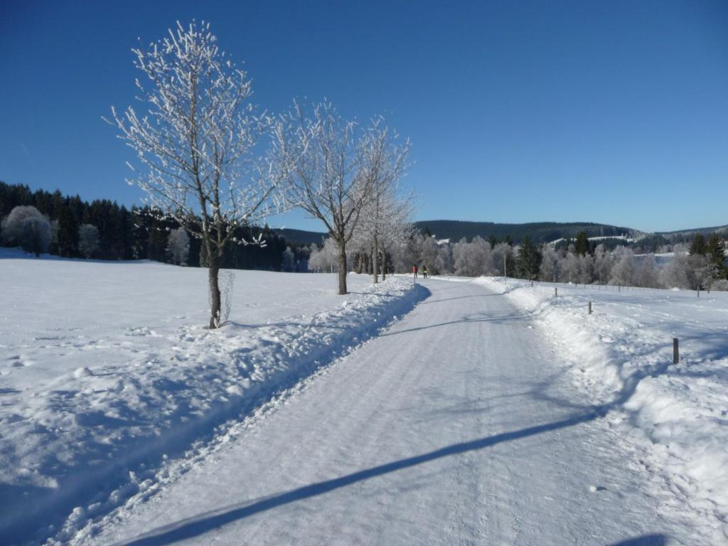 Bio- Und Wellnesshotel Alpenblick Höchenschwand Kültér fotó